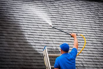 Pure Wave Exterior Cleaning LLC Roof Washing