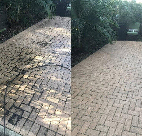Paver Cleaning in Williston, FL (1)